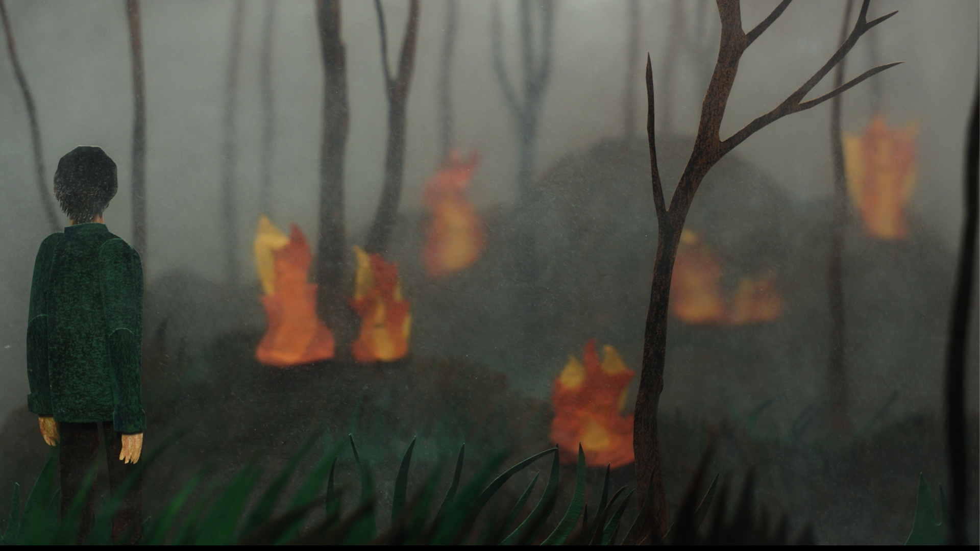 How are these fires burning underground?