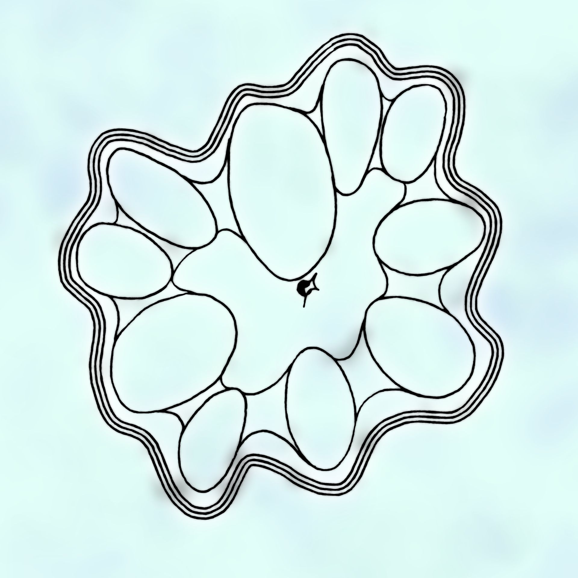 The discrete shapes